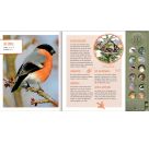 Vögel in unseren Wäldern - Nature Zoom (Soundbuch)
