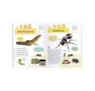 Expedition Natur Rätseln, Stickern, Bestimmen - Insekten & Co.