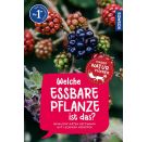 Kindernaturführer Welche essbare Pflanze ist das?