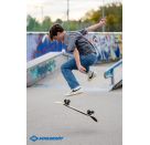 Schildkröt Skateboard Bigflip  31   Splash