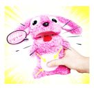ScreamerZ Hase