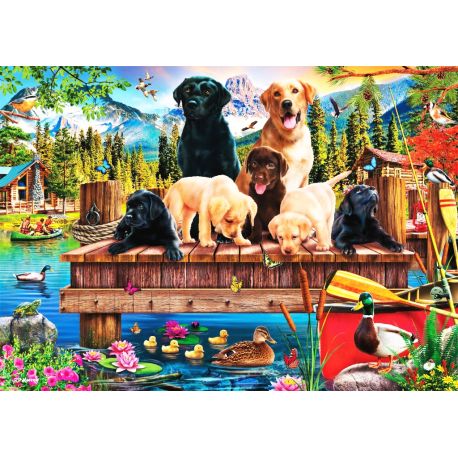 PU1000T.Hundefamilie am See