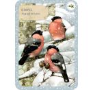 Schachtelsp.: Zauberh. Vogelwelt - winterl.Quartett (Bastin)