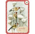 Schachtelsp.: Zauberh. Vogelwelt - winterl.Quartett (Bastin)