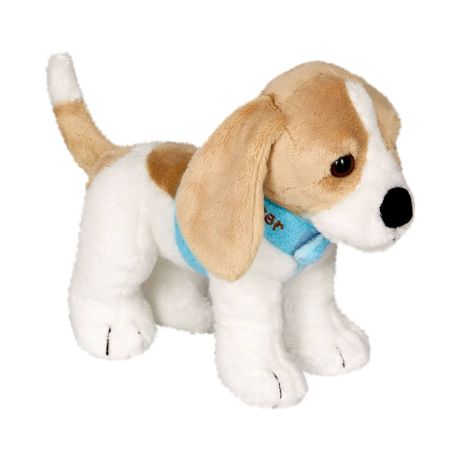 Beagle Cooper - Lustige Tierparade