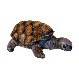 Schildkröte - Nature Zoom Wild