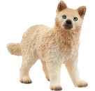 schleich® WILD LIFE 14881 Polarwolf Welpe