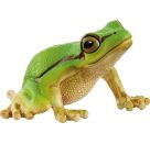 schleich® WILD LIFE 14882 Europäischer Laubfrosch