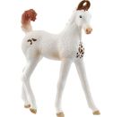 schleich® HORSE CLUB 14896 Marwari Fohlen