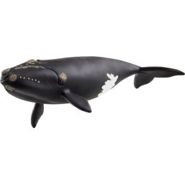schleich® WILD LIFE 14878 Nordatlantischer Glattwal