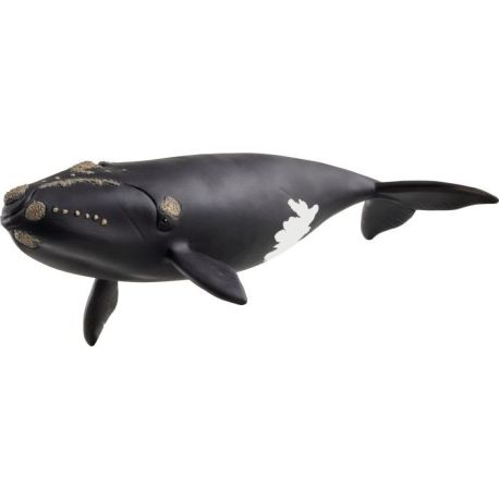 schleich® WILD LIFE 14878 Nordatlantischer Glattwal