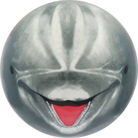 sunflex DIVING BALL DELFIN