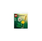 LEGO® Botanicals 30701 Feldblumen