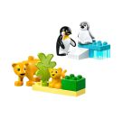 LEGO® DUPLO 10442 Wildtier-Familien: Pinguine und Löwen