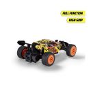 RC Dune Stinger, RTR