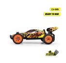 RC Dune Stinger, RTR