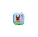 Tierisch! - Beste Freunde - Clever Tonie SET