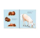 Ronny, das Pony, und Gerd, das Pferd