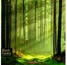 Black Forest