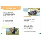WIW Erstes Lesen easy Tiere i