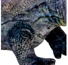 Waran - Nature Zoom Wild