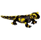 Feuersalamander - Nature Zoom