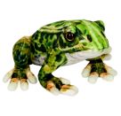 Frosch - Nature Zoom Wild