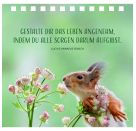 Gr. Spiralaufstellbuch: Einfa