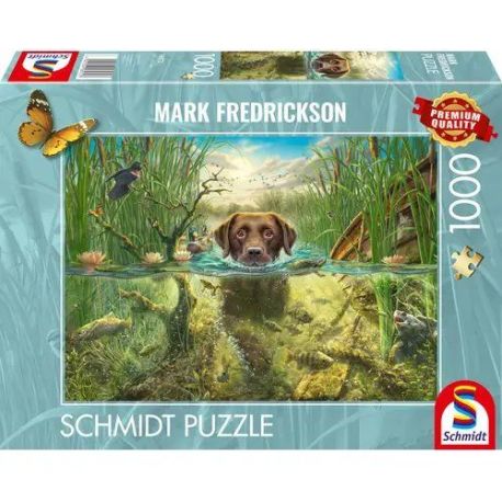 PU1000T.M.Frederickson Hundeliebe, brauner Labrador im kühlen Nass