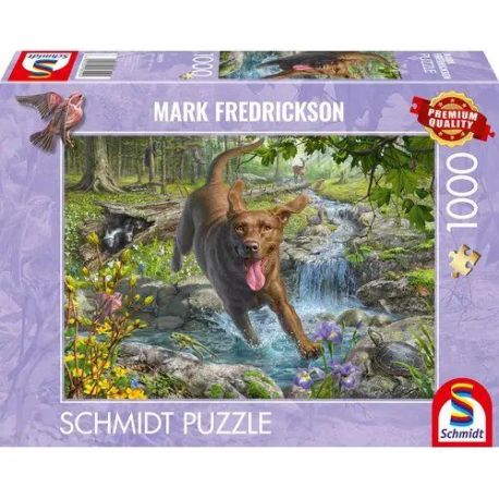 PU1000T.M.Frederickson Hundeliebe, Frühlingsspaziergang mit Labrador Retriever