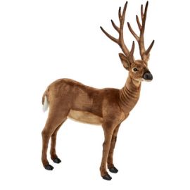 Hirsch aus Virginia 100cmH/75