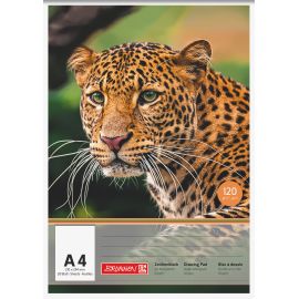Zeichenblock A4 Tiere 20Bl