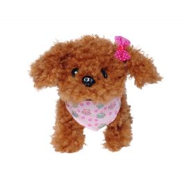 Chi Chi Love Tea Cup Poodle Puppy