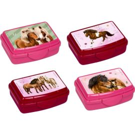 Mini-Snackbox - Pferdefreunde, sort.