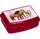Mini-Snackbox - Pferdefreunde, sort.