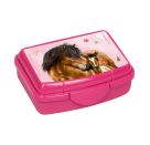 Mini-Snackbox - Pferdefreunde, sort.