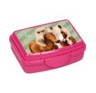 Mini-Snackbox - Pferdefreunde, sort.