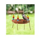 Krabbelkäfer Vogeltränke