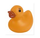 Mini Ente