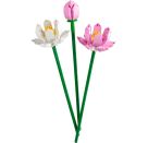 LEGO® Creator 40647 Lotusblumen