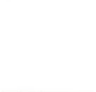 LEGO® Creator 40647 Lotusblumen
