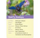 Naturforscher-Kids – Insekten