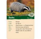 Naturforscher-Kids – Wald