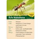 Naturforscher-Kids – Wald
