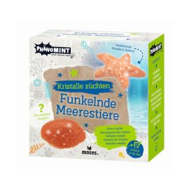 PhänoMINT Funkelnde Kristalltiere züchten