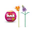 MAX - Flowers, sortiert