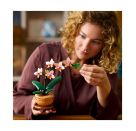 LEGO® Botanicals 10343 Mini-Orchidee