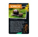 50 Insekten, Spinnen   Co. - Nature Zoom (Blechdose)