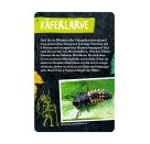 50 Insekten, Spinnen   Co. - Nature Zoom (Blechdose)