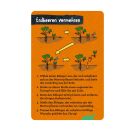 50 Garten-Projekte - Nature Zoom (Blechdose)